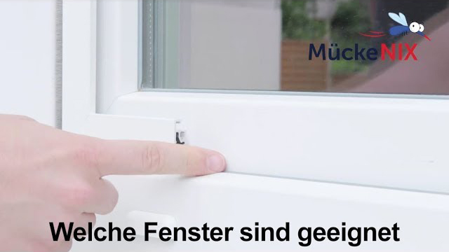 Type de fenêtre
